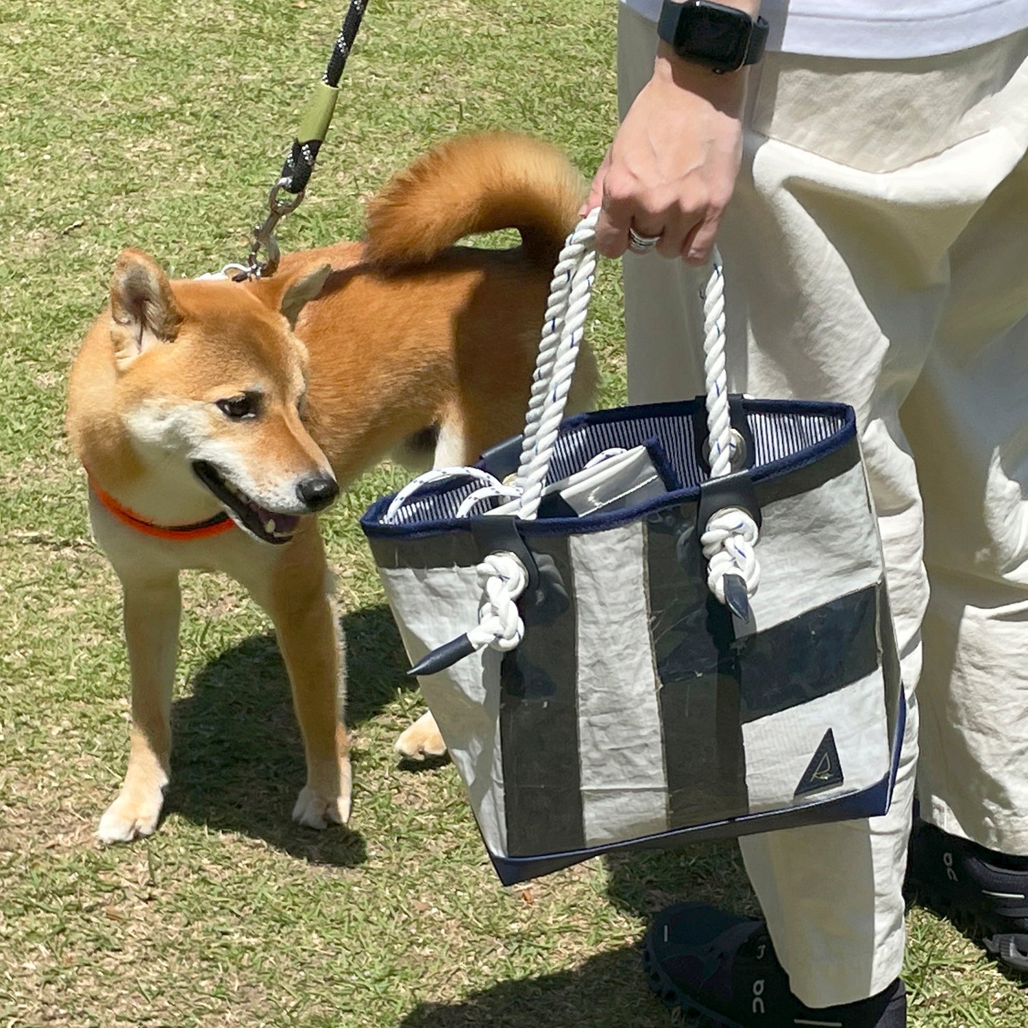 「Marina 横浜・八景島ヨットセイルトートS」は、愛犬とのお散歩時やランチトートとしてもお使いいただけるサイズ感です。