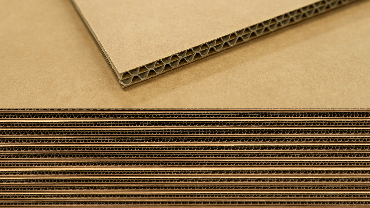 muscle-Cardboard – ACE LUGGAGE